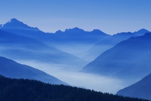 世界举重康复在线课堂学员优秀实践提案征集启动，世界举重协会官网