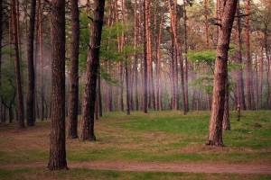 世界举重康复示范基地智能维护项目年度汇编发布，2021年世界举重比赛视频