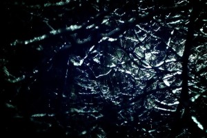 世界举重康复教师资格发布：标准化课程提升基层水平，世界举重比赛