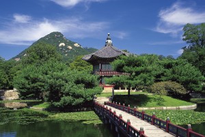 世界举重康复在线课堂新增运动处方模块上线，2021年世界举重比赛视频