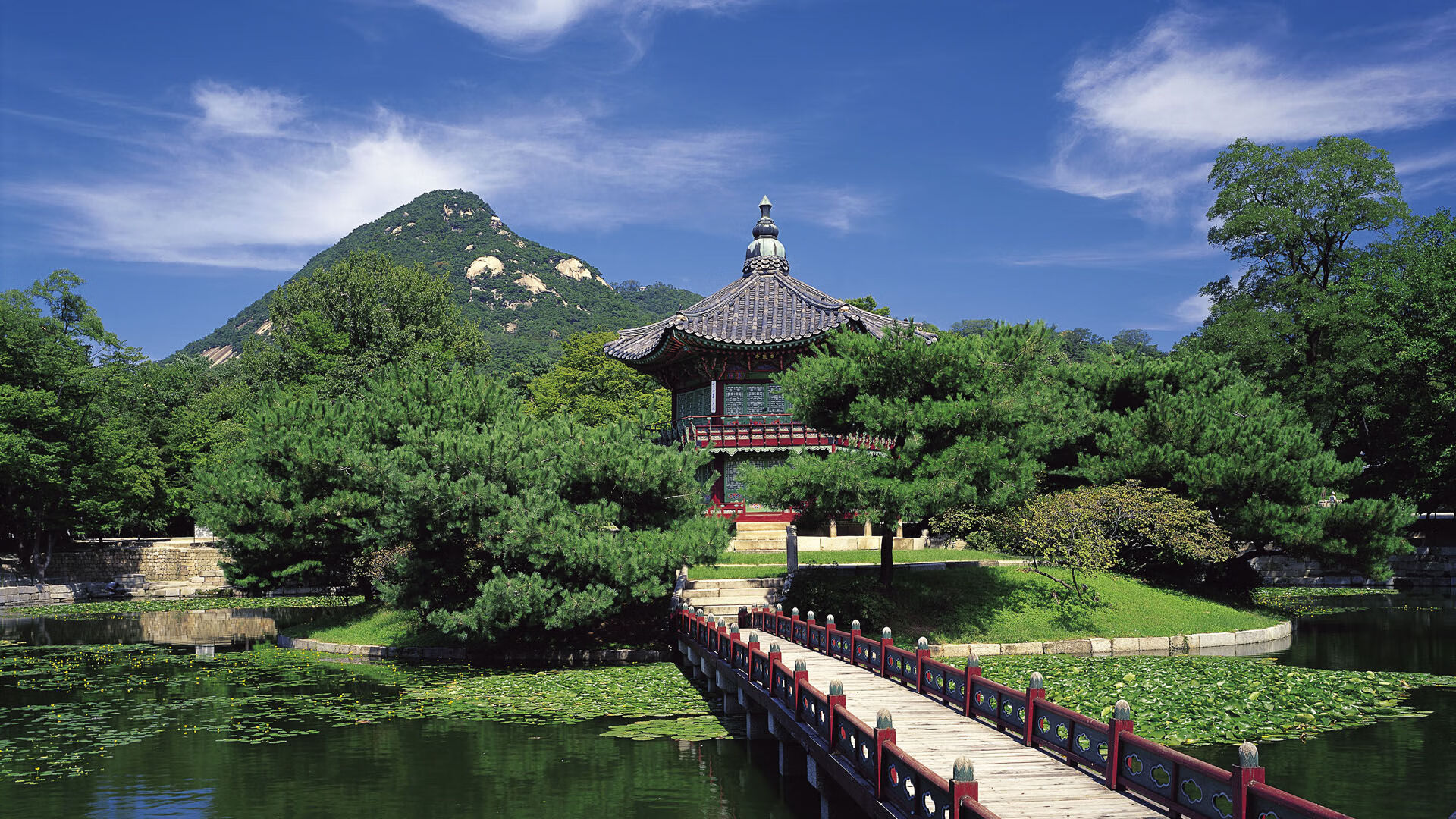 世界体操团体赛赛场评分回放系统用户体验年报发布，体操世界级比赛